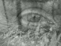 Exercises in Style – No. 31: Preteritum&nbsp;(Past)